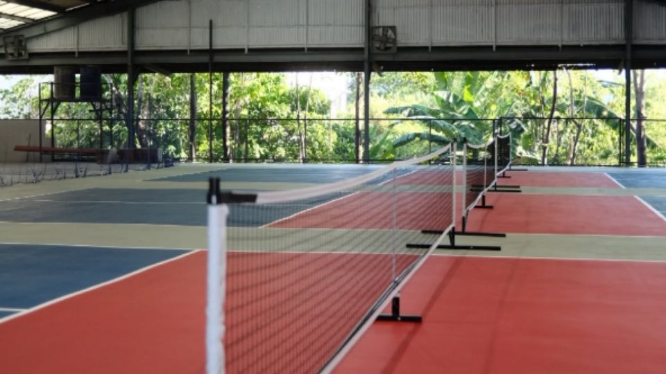 CSports Pickleball court side view