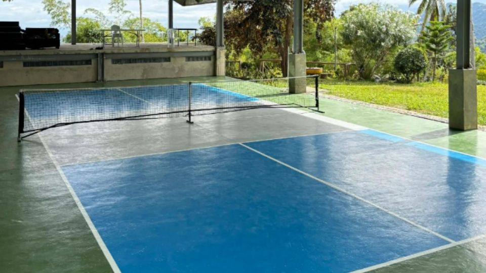 Highland Mango Ecofarm Pickleball Court