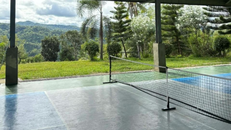 Highlan Mango Ecofarm pickleball court - angle showing the views of the mountains