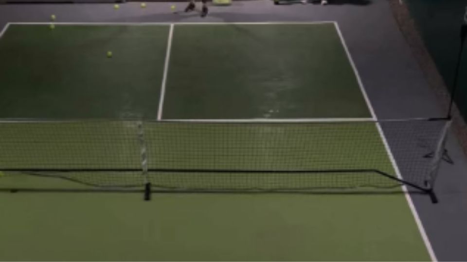 Paddle point pickleball court angle 1