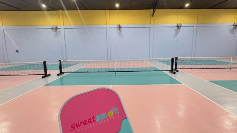 SweetSpot pickleball court with custom paddle in front of view